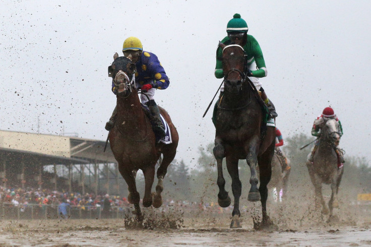 exaggerator preakness 2016