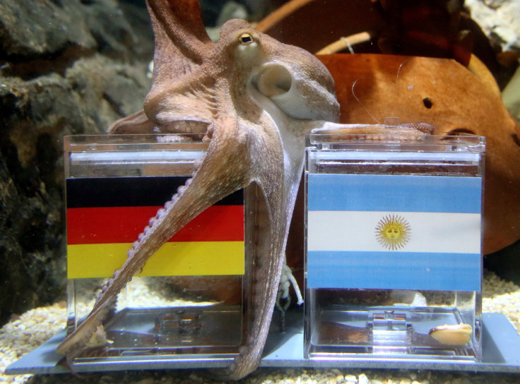 Euro 2016- Paul the Octopus