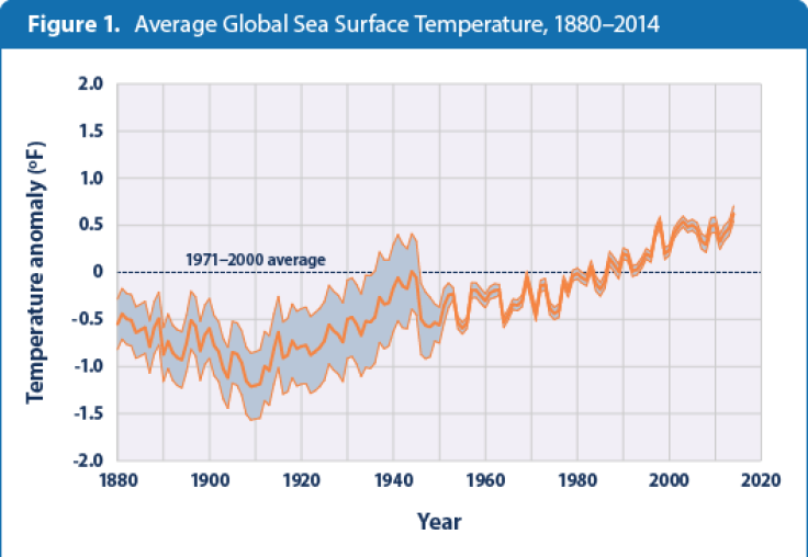 Sea Surface Temperature