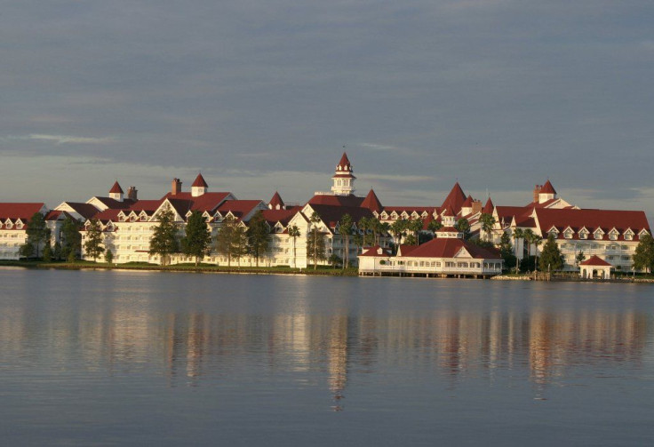 Flordia alligator attack Disney