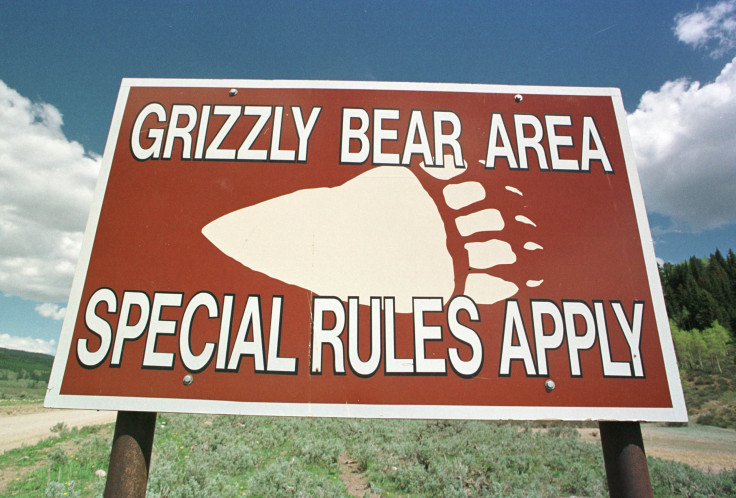 grizzly bear warning