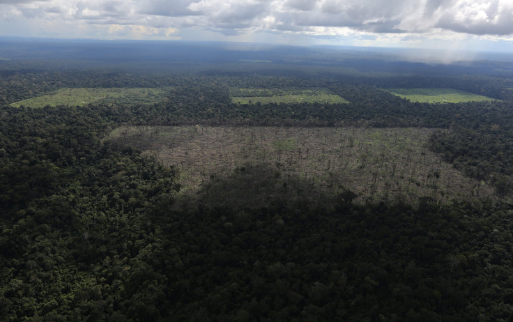 ForestClearance