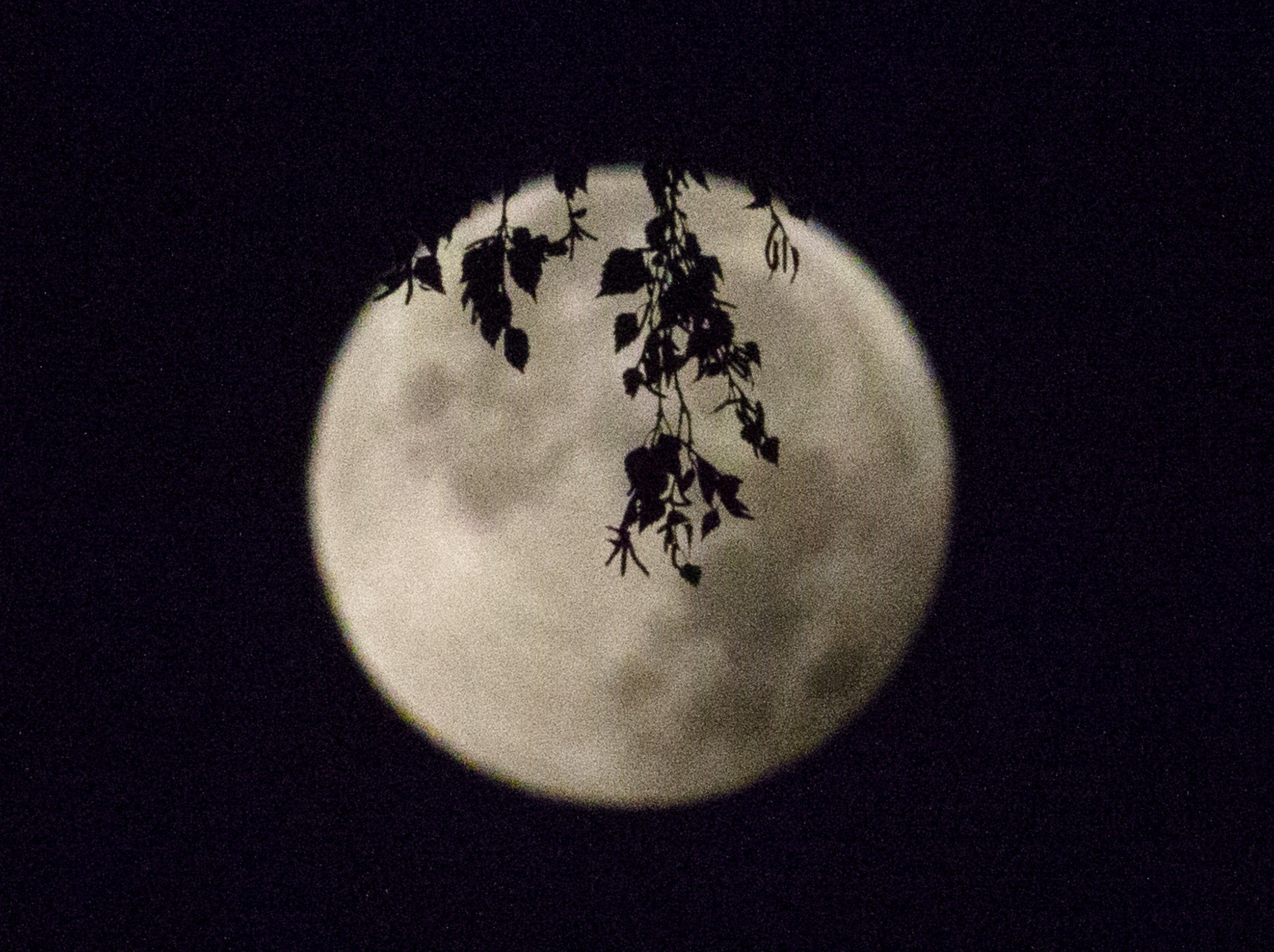 His moon. Первая Высшая Луна глаза. Панцирь тени и Луна Сноу.