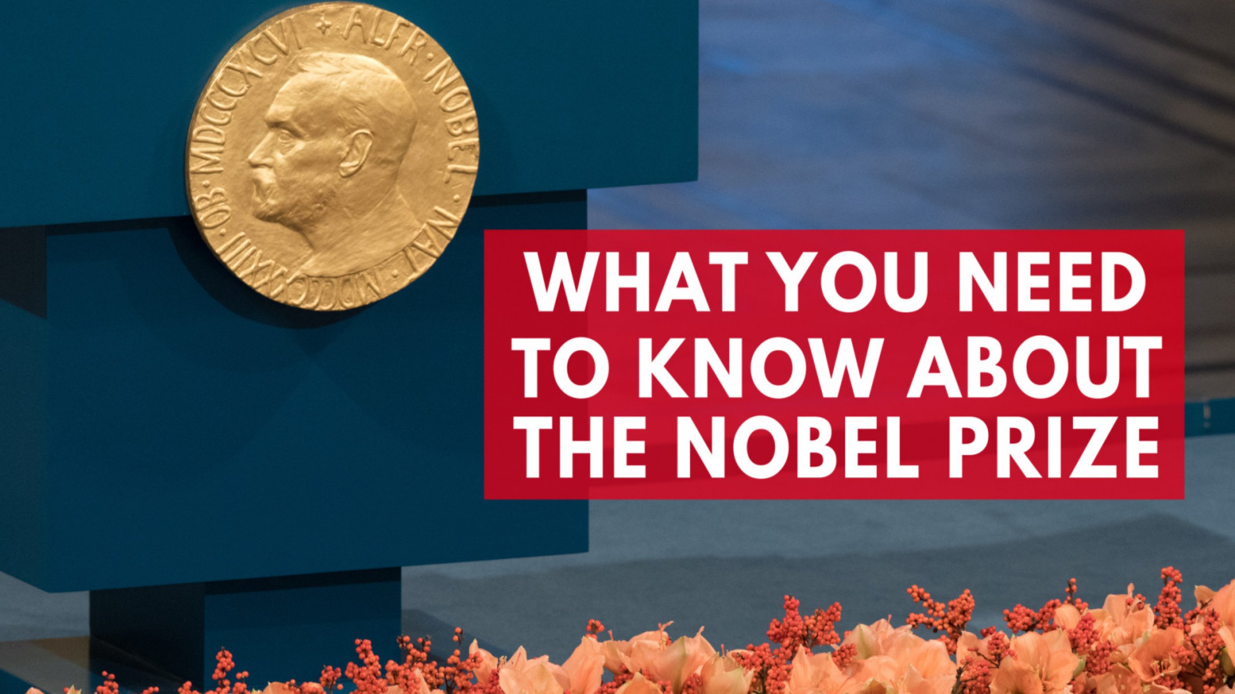 The Nobel Prize What You Need To Know About The Prestigious Award