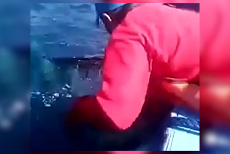 Peru Baby Whale Rescue