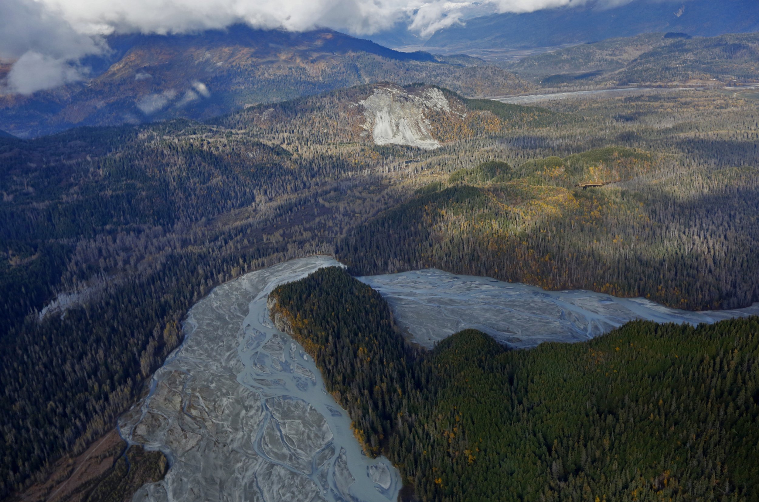 Climate Change News: Why North American Forests Can’t Combat Greenhouse ...