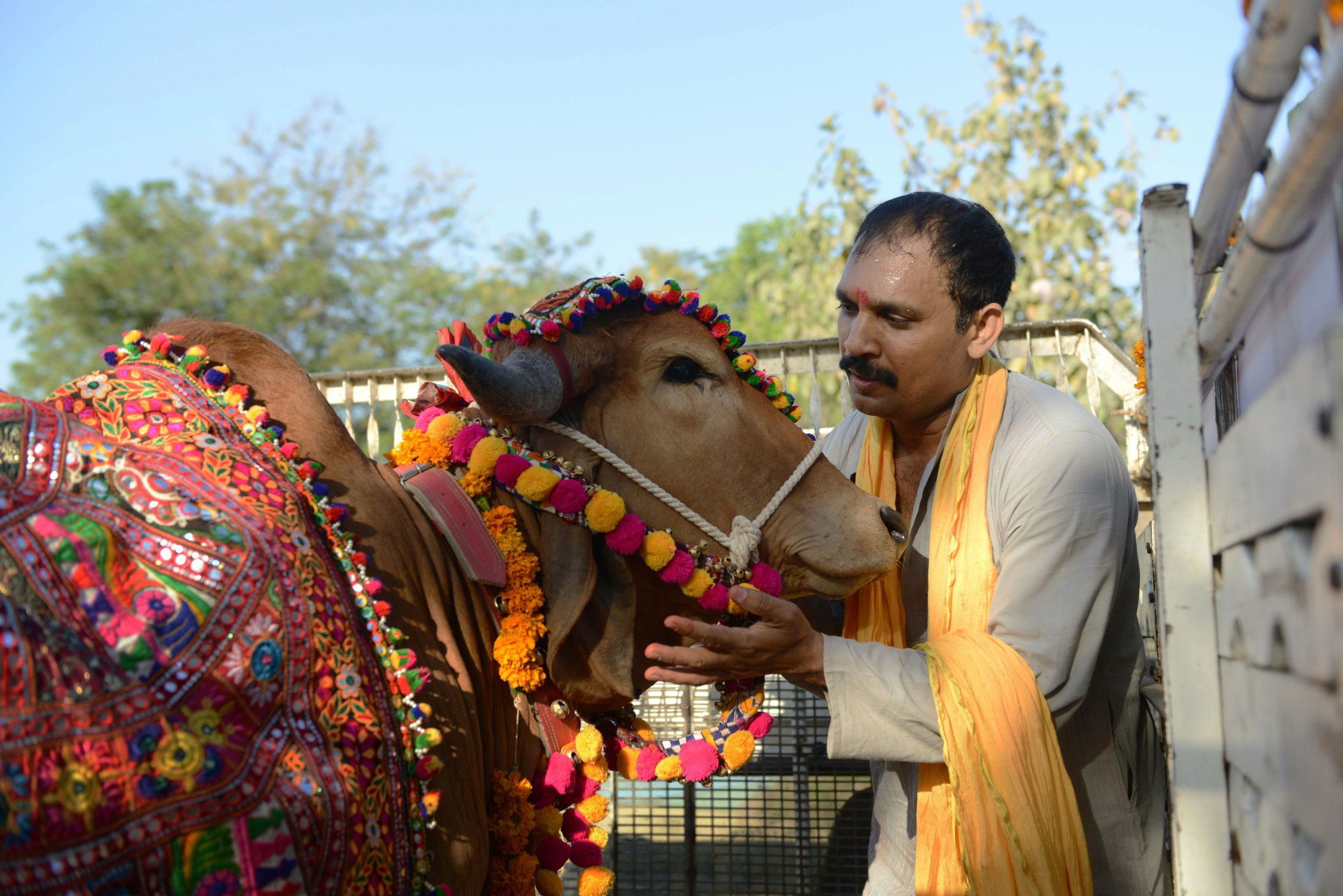 India’s PM Modi Criticizes Cow Vigilantes | IBTimes