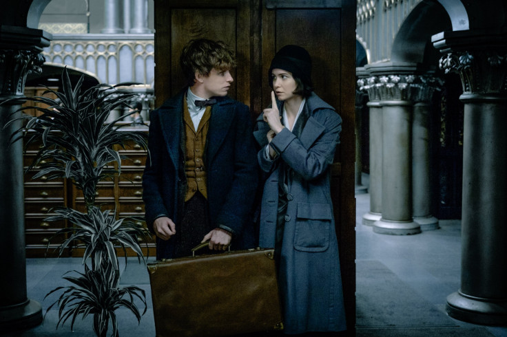 Fantastic Beasts and Where to Find Them Movie 