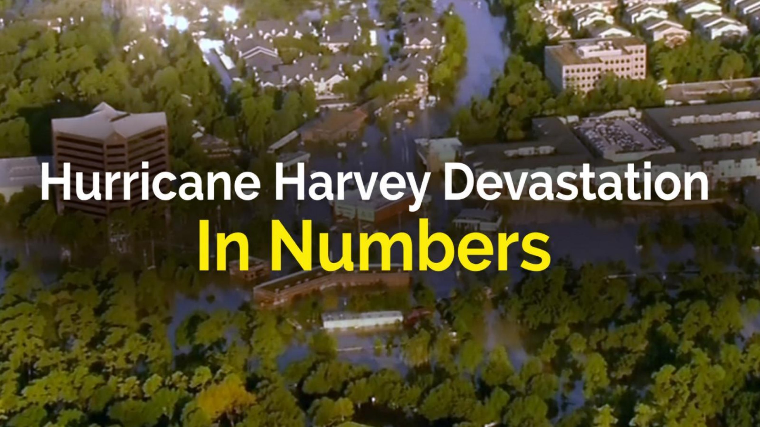 Hurricane Harvey Devastation In Numbers Hurricane Harvey Devastation In Numbers