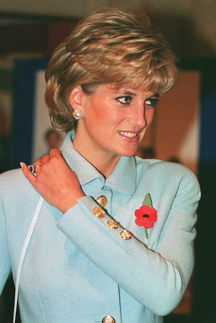 A Blue Mood - Diana In 1995 
