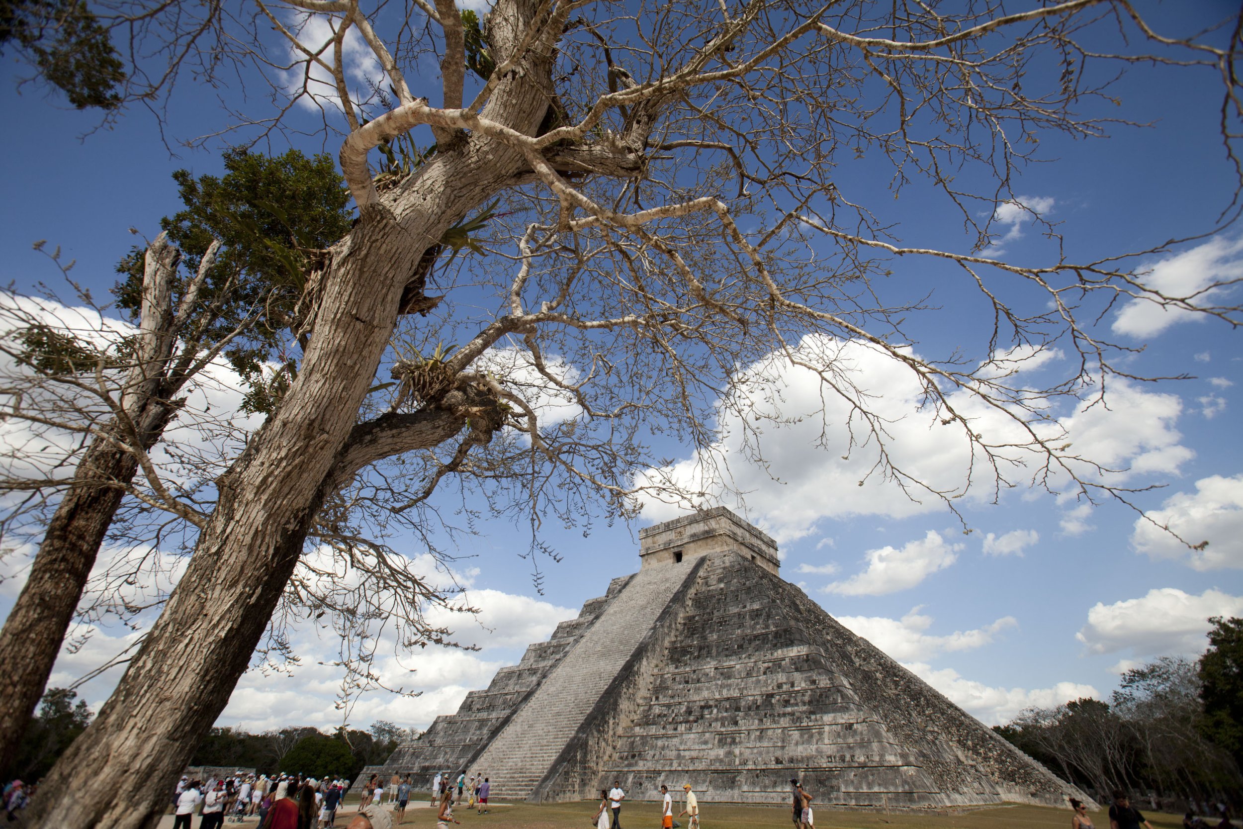 Mayan Trophy Skulls Show Civil War Likely Ended Ancient Civilization