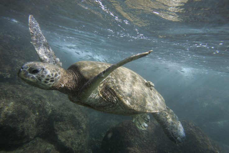 Papahanaumokuakea