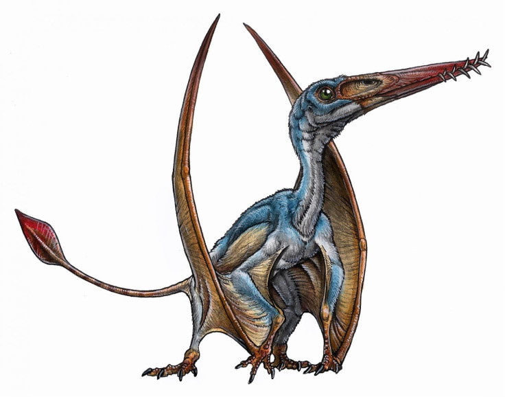 ptesosaur-image