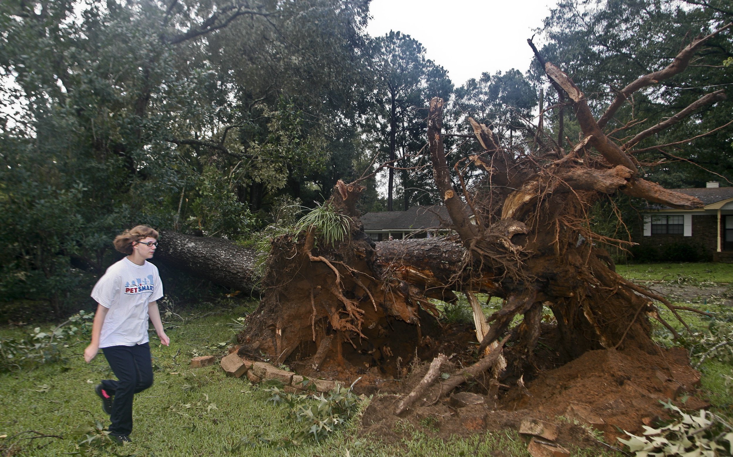 Hurricane Hermine Photos: Florida Residents Share Pictures Of Damage ...