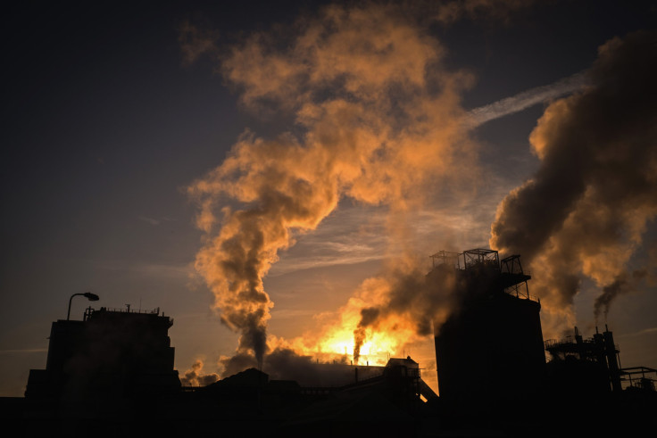 Air pollutants enter the brain