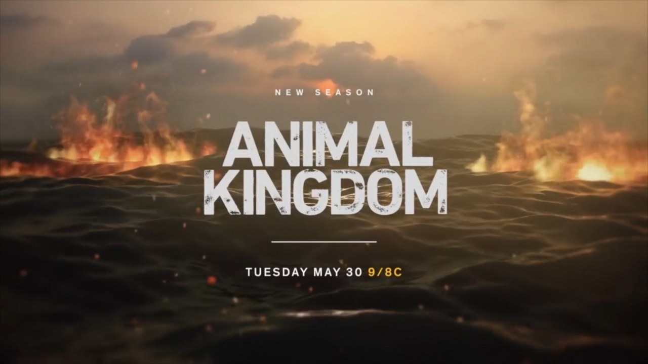 Animal Kingdom' Season 2 Spoilers: Episode 3 Synopsis Released; Watch  'Bleed For It' Promo