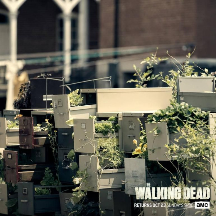 “The Walking Dead”