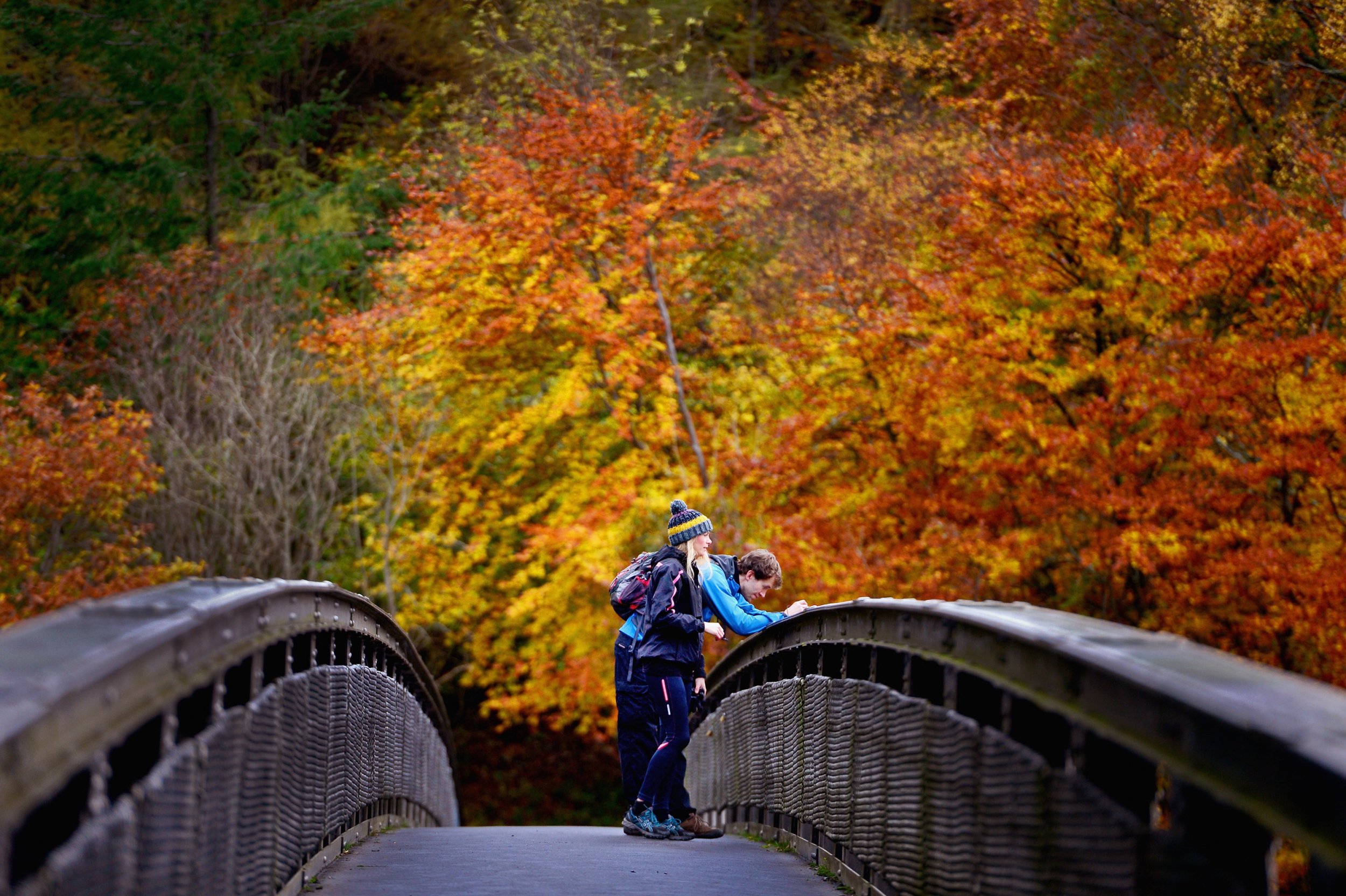 Fall Facts And Trivia Things To Know About The Autumnal Equinox And Harvest Season Ibtimes