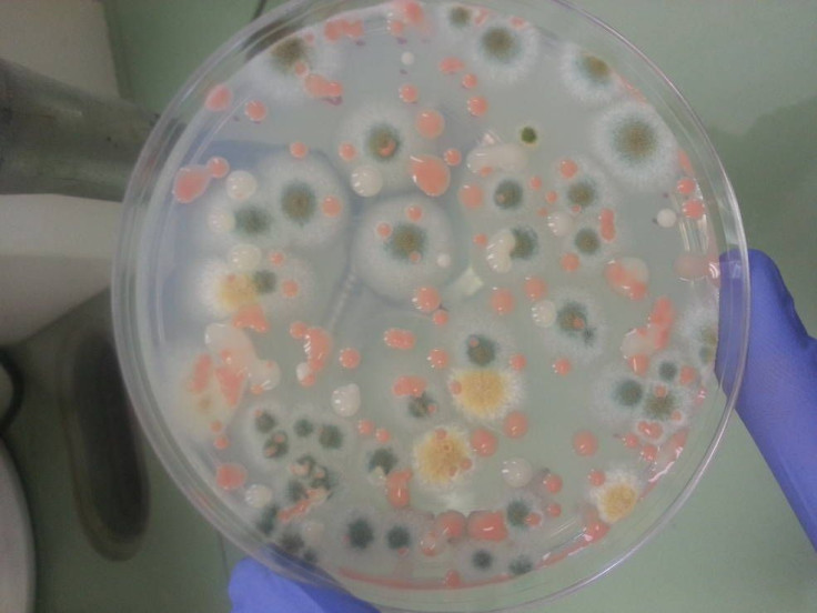 microbes nasa iss