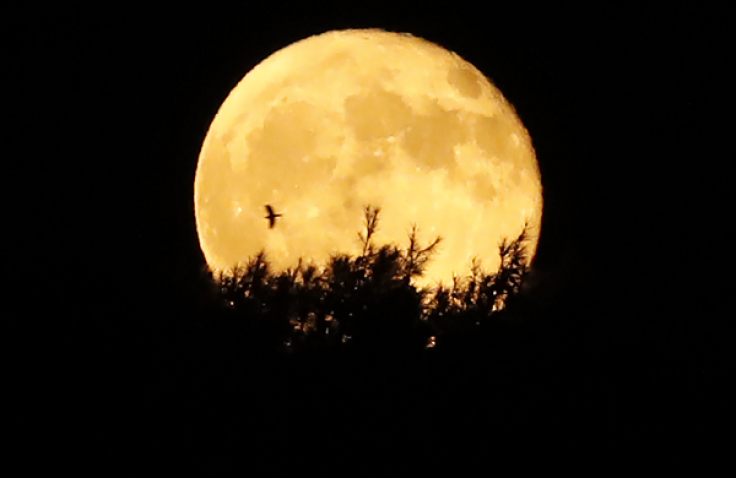 The Black Moon will rise on Friday and some people believe it's a sign of the apocalypse.