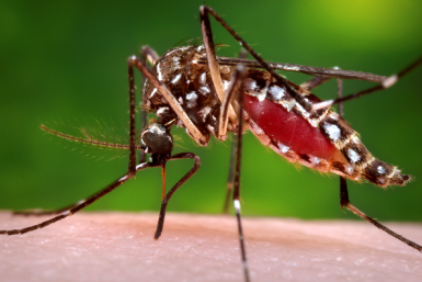 Health officials confirm a case of dengue in Miami.
