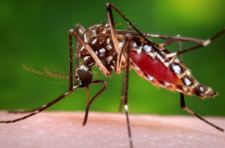 Health officials confirm a case of dengue in Miami.