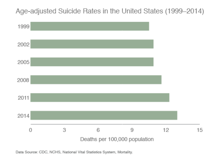 Suicide-Rate-In-US-By-Year