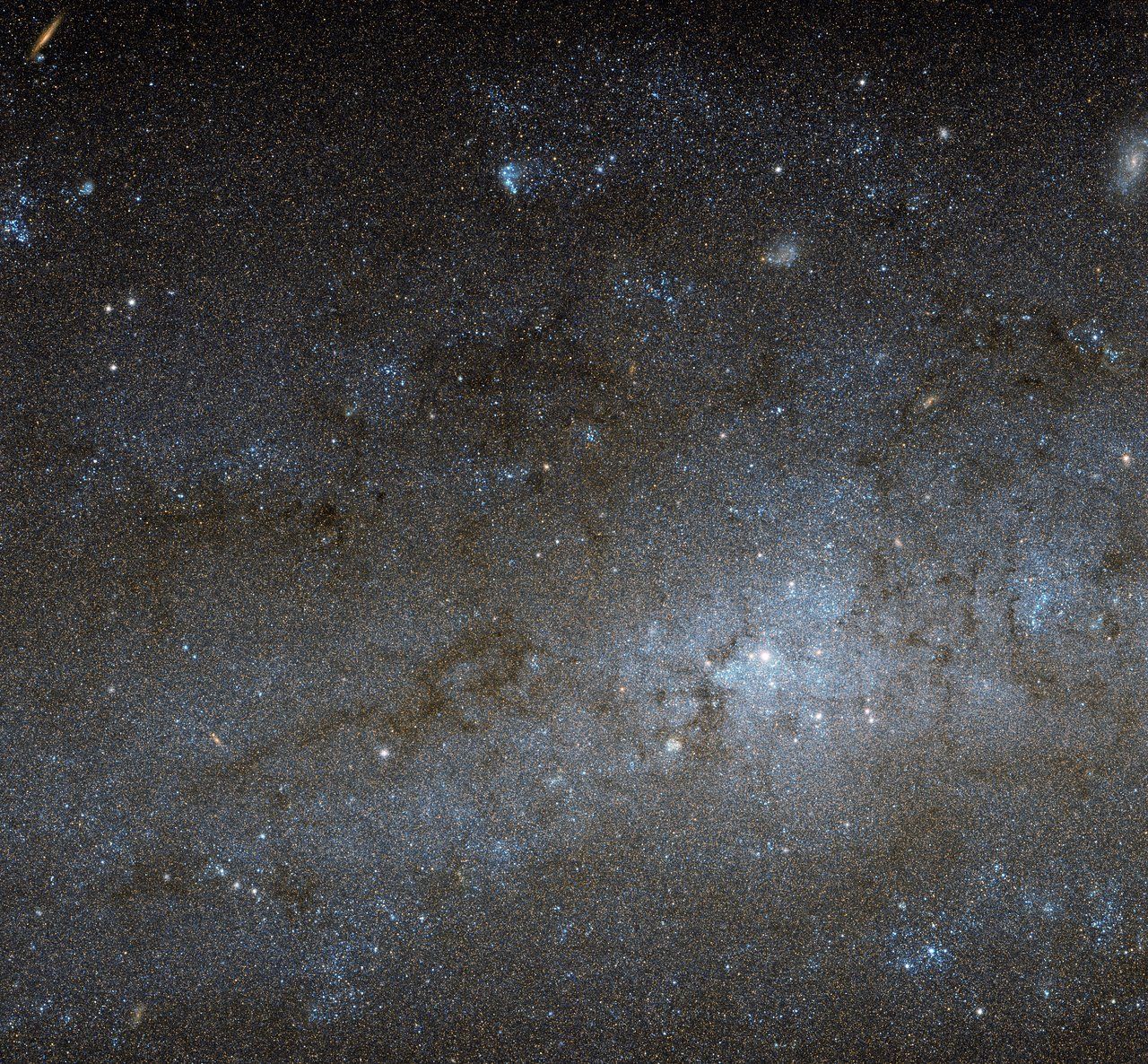 Ngc 247 Hubble Spies Distant Spiral Galaxy With A Massive Void Ibtimes 4097