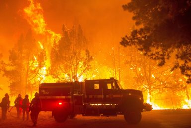 climate change and forest fires