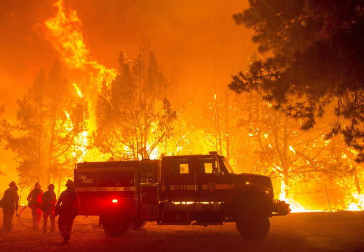climate change and forest fires
