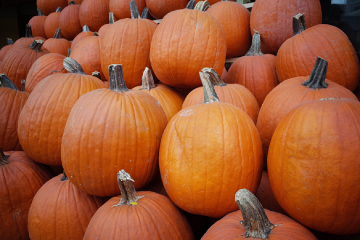 Celebrate National Pumpkin Day 2016 with a few fun takes on pumpkin drinks and treats.