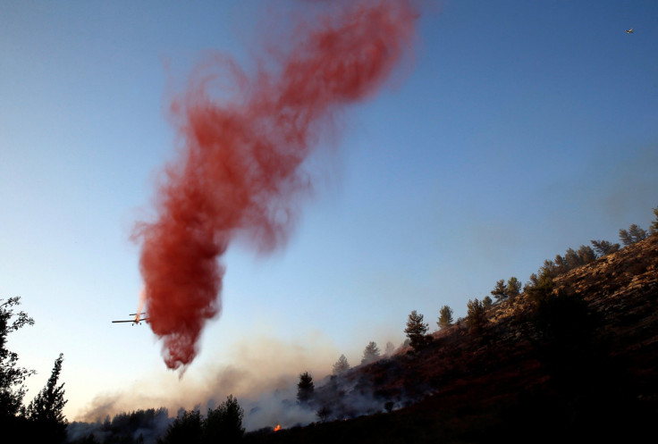 israel wildfire