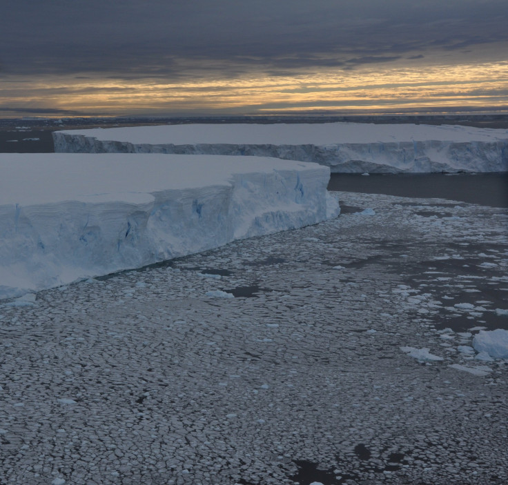 IcebergsPineIslandBay