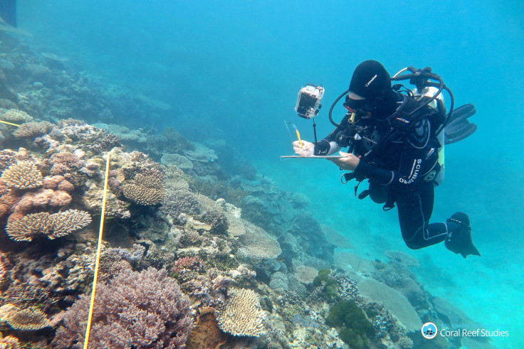 Great Barrier Reef Bleaching