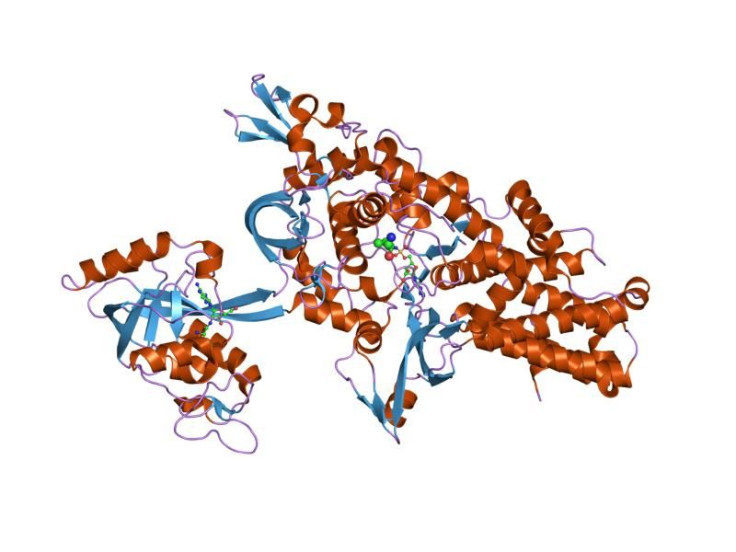 PDB_1obc_EBI