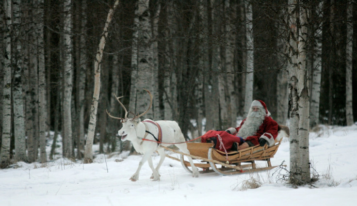 Reindeer