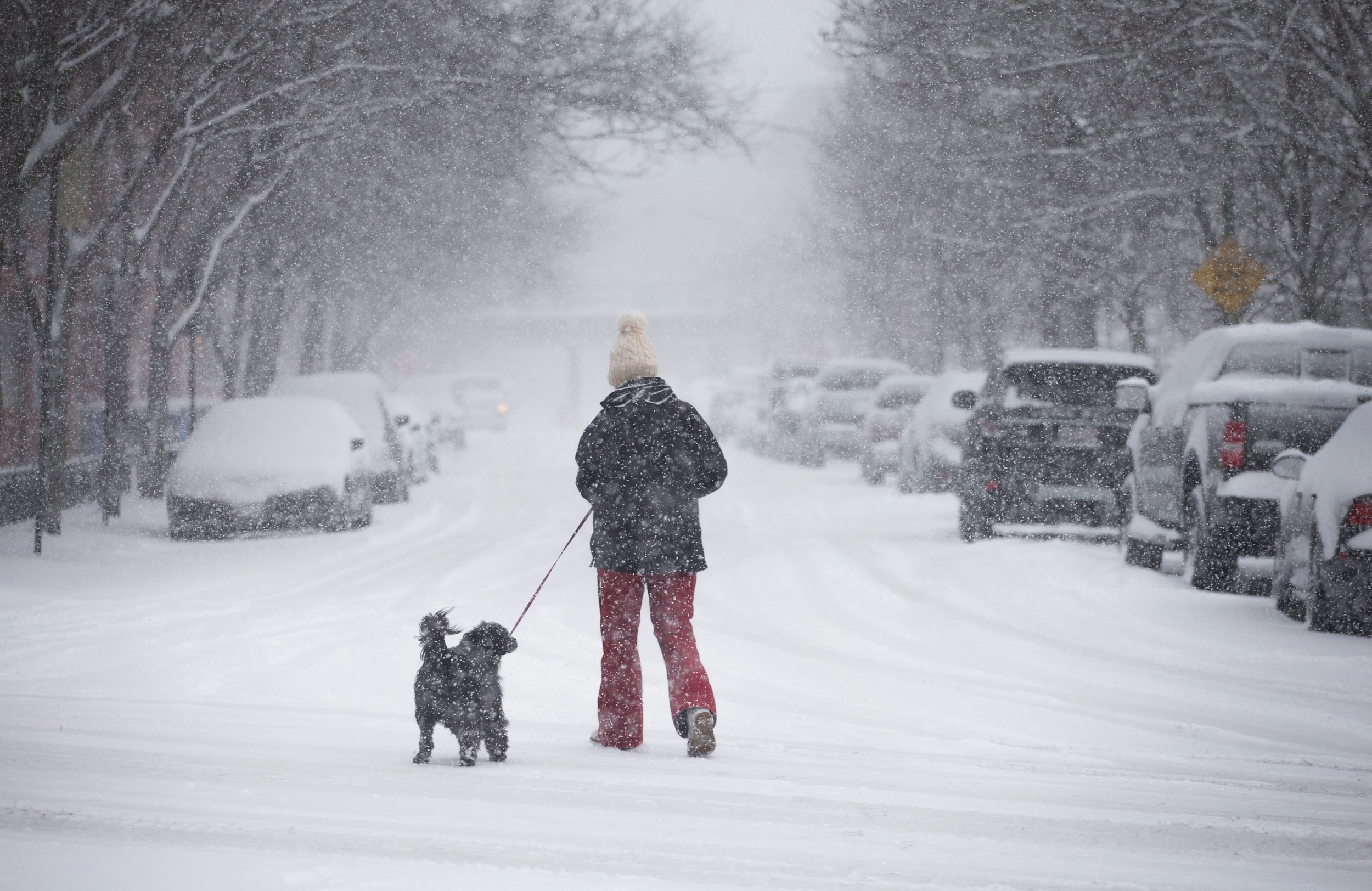 When Does Fall End? First Day Of Winter Brings Autumn To A Close IBTimes