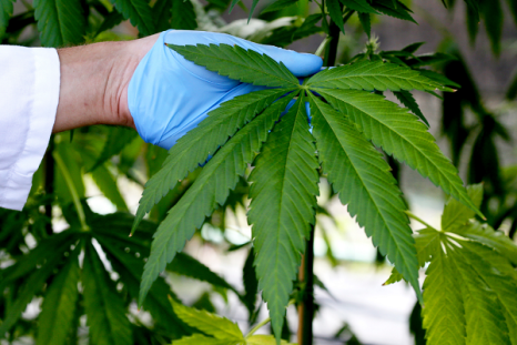 New Hampshire may be considering legalizing recreational marijuana use in 2017.