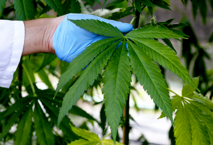 New Hampshire may be considering legalizing recreational marijuana use in 2017.