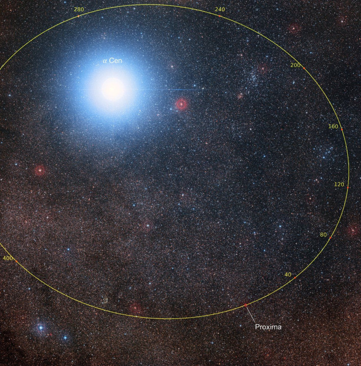 Proxima Centauri orbit