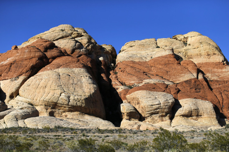 RedRockNevada