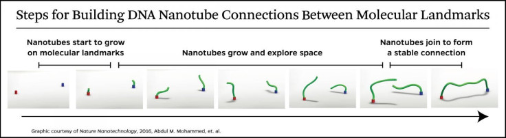 DNA Nanotubes