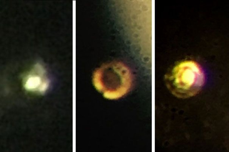 metallic hydrogen