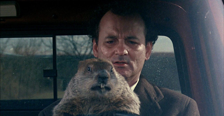 Groundhog Day 2017