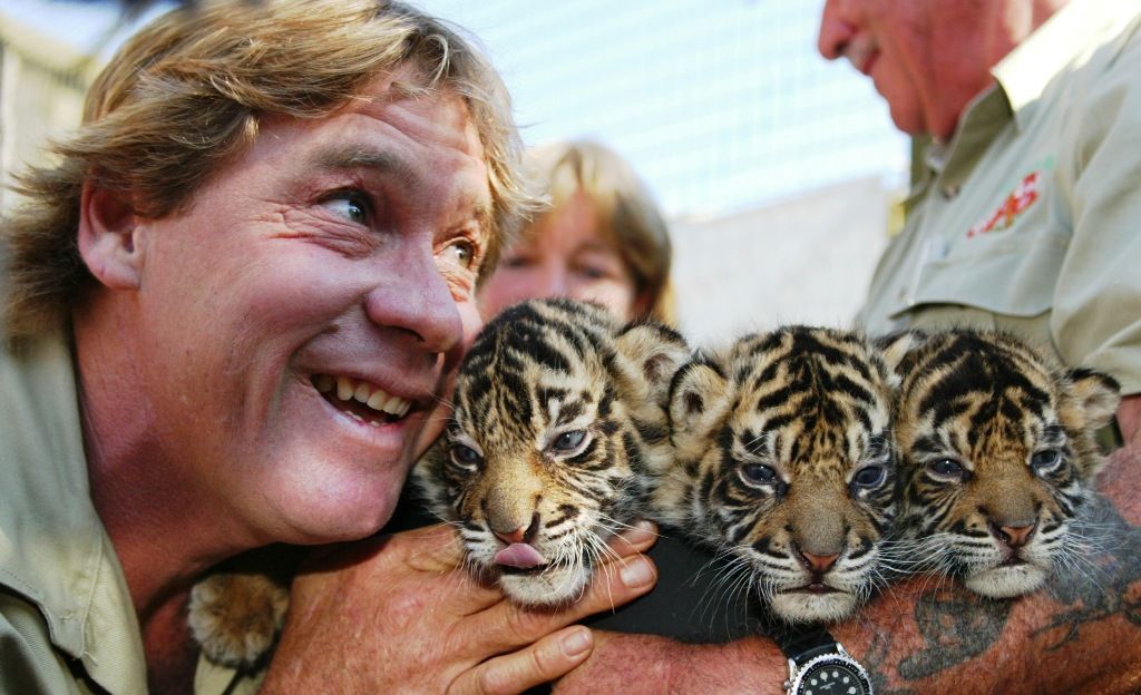 Steve Irwin Quotes Famous Sayings By The Crocodile Hunter On