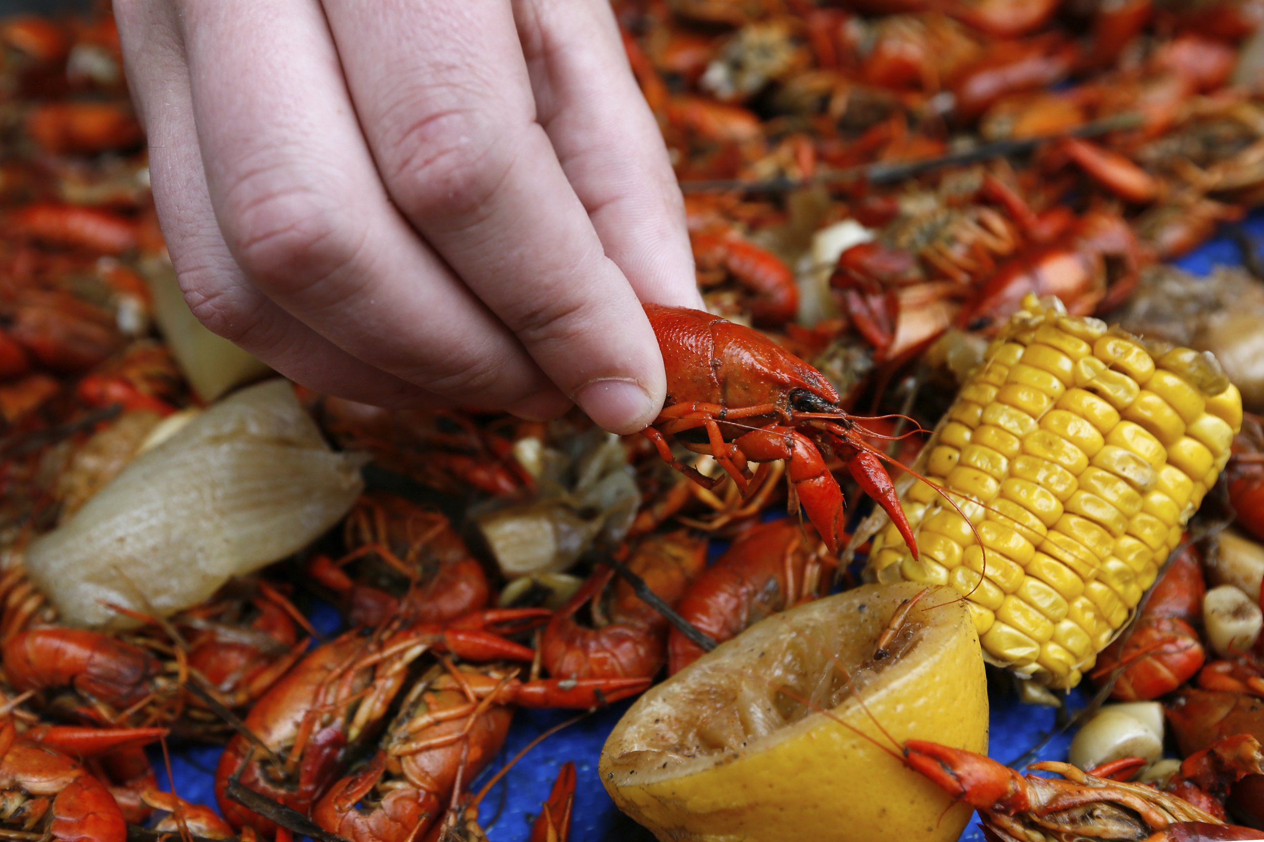 mardi gras traditions food