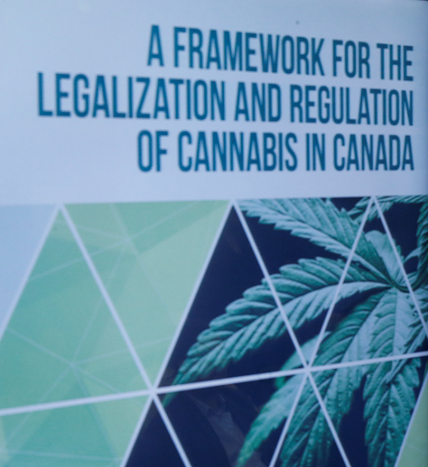 Where Will Pot Be Legal Next? Canada's Recreational Marijuana Law May ...