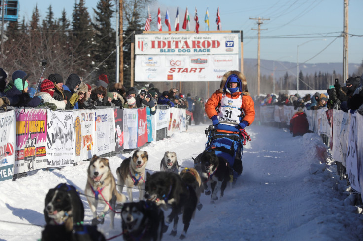 iditarod