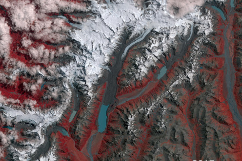 new zealand glaciers nasa