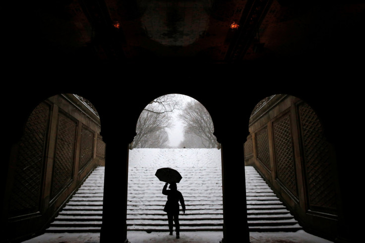 Snow In Central Park